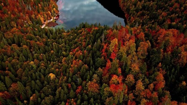 Aerial view of Attersee forest in Vocklabruck District Austria.