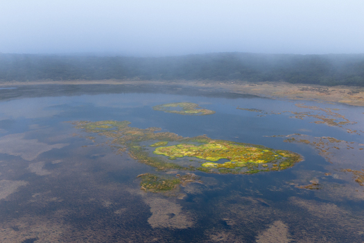 Aerial view of Caldeira Branca featuring a volcanic lake with small mossy islands under a thick layer of mist in Faja Grande Azores Portugal. Aerial view of Caldeira Branca featuring a volcanic lake with small mossy islands under a thick layer of mist in Faja Grande Azores Portugal.