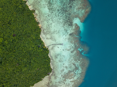 Aerial view of a lush green island meeting the turquoise ocean waters with a dock stretching out to boats Turtle Conservation Karimunjawa Central Java Indonesia.