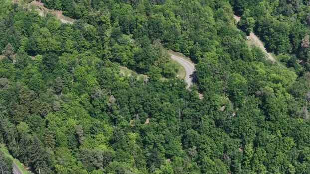 Aerial view of a winding road through dense green forest France.