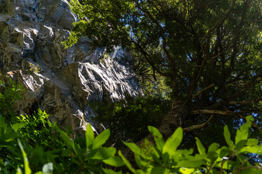View of Cascada El Saltillo featuring a towering rock cliff face and lush green tree canopy under bright sunlight in Huiliches Department Neuquen Province Argentina. View of Cascada El Saltillo featuring a towering rock cliff face and lush green tree canopy under bright sunlight in Huiliches Department Neuquen Province Argentina.