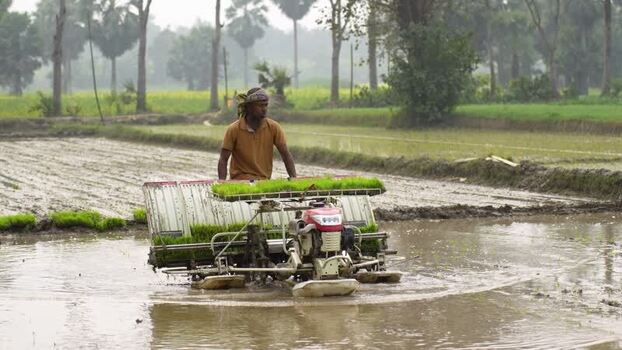 View of a farmer using a rice transplanter in a field Bangladesh. View of a farmer using a rice transplanter in a field Bangladesh.