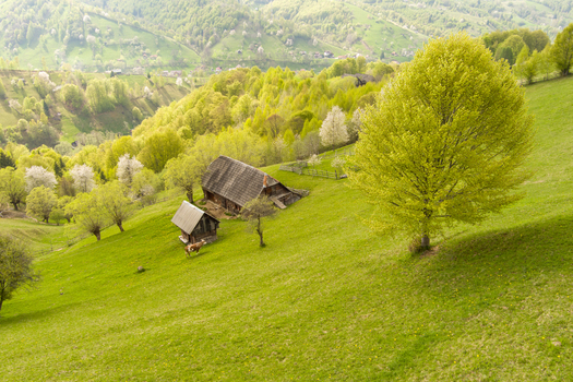 Aerial view of traditional wooden houses nestled in the lush green hills and meadows of the rural landscape in Bran Brasov Romania.