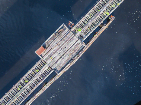 Aerial view of Atlantic Coast Line Railroad bridge over a calm river with rusted beams and wooden pilings in Castle Hayne North Carolina United States.