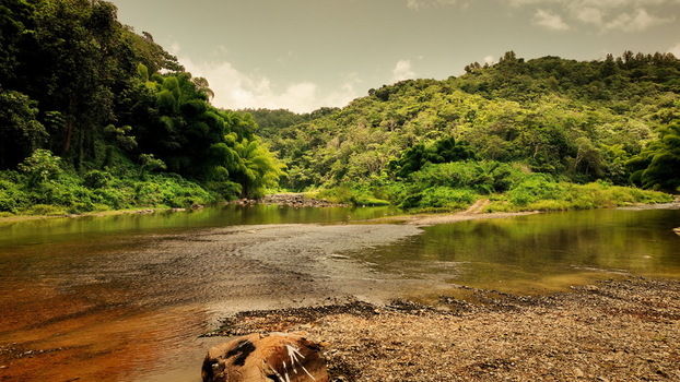 Aerial view of a river flowing through the lush green hills and tropical vegetation of San Sebastian San Sebastian Puerto Rico.