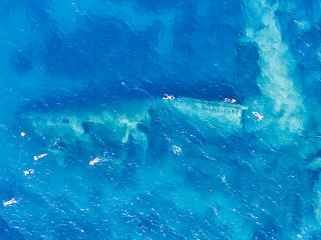 Aerial view of the Elviscot shipwreck submerged in clear blue water with swimmers snorkeling around the historic wreck in Pomonte Province of Livorno Italy.