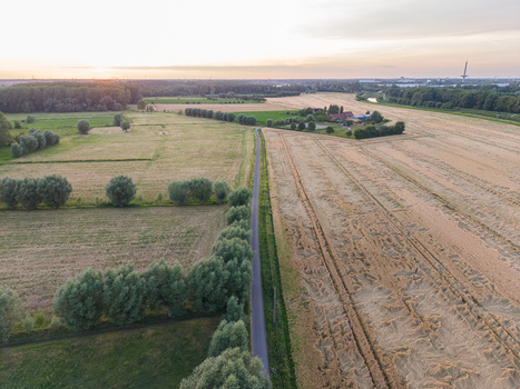 Aerial view of agricultural fields a narrow road and lush trees under a soft golden hour sky in Zemst Flanders Belgium. Aerial view of agricultural fields a narrow road and lush trees under a soft golden hour sky in Zemst Flanders Belgium.