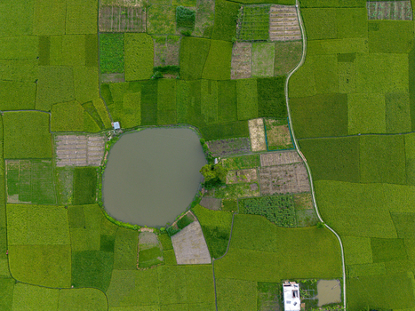 Aerial view of lush green agricultural fields and a circular pond with a narrow winding path in Joypurhat Rajshahi Division Bangladesh.