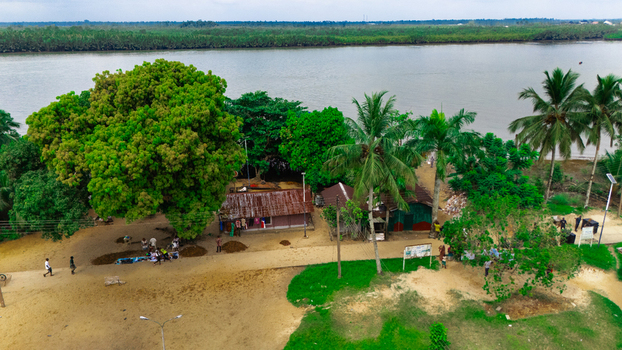 Aerial view of a riverside settlement featuring small houses with corrugated metal roofs a large leafy tree palm trees and people walking along a sandy path in Minima Rivers Nigeria.