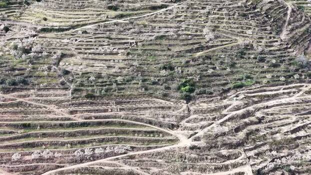 Aerial view of terraced landscape Spain.