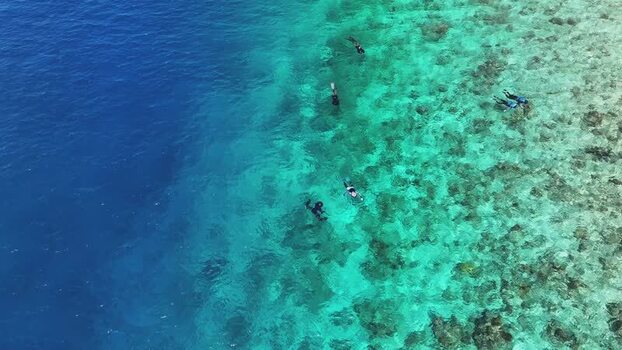 Aerial view of people snorkeling over a coral reef in clear waters Maldives. Aerial view of people snorkeling over a coral reef in clear waters Maldives.