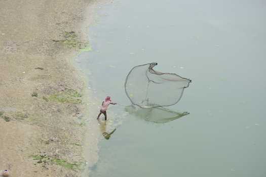 Kushtia Khulna Division Bangladesh 12 March 2020 View of a fisherman casting a net into the river with muddy banks and calm water. Kushtia Khulna Division Bangladesh 12 March 2020 View of a fisherman casting a net into the river with muddy banks and calm water.