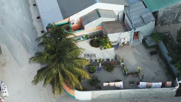 Aerial view of a residential courtyard and palm tree Maldives. Aerial view of a residential courtyard and palm tree Maldives.