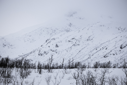 View of snow covered mountains and bare winter trees under a misty overcast sky in Ersfjord Troms Norway. View of snow covered mountains and bare winter trees under a misty overcast sky in Ersfjord Troms Norway.