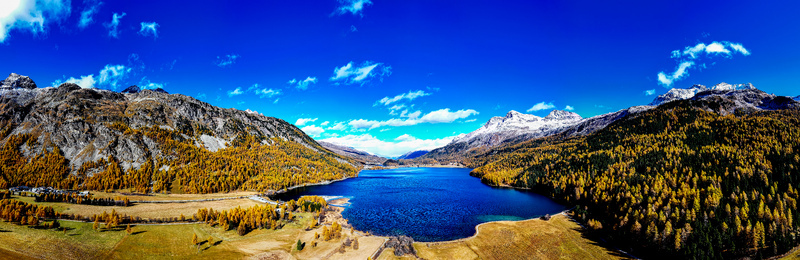 Aerial view of Lake Silvaplana surrounded by golden autumn larch forests and rugged mountains under a clear blue sky in Maloja District Grisons Switzerland.