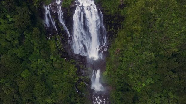 Aerial view of Wairere Falls in the Waikato Region New Zealand