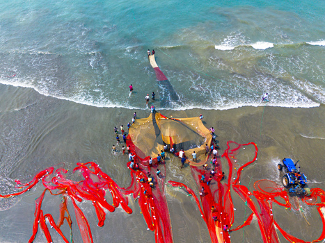 Cox s Bazar Bangladesh 10 March 2026 Aerial view of fishermen hauling in vibrant red nets onto the sandy beach as turquoise waves gently crash ashore.