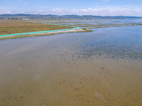 Aerial view of Karavasta Lagoon with its shallow waters green fishing nets and distant hills under a clear sky in Divjake Fier County Albania.