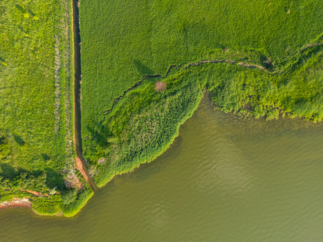 Aerial view of the Vistula Lagoon coastline with lush green fields and a straight drainage ditch cutting through the landscape in Tolkmicko Warmian Masurian Voiv Poland. Aerial view of the Vistula Lagoon coastline with lush green fields and a straight drainage ditch cutting through the landscape in Tolkmicko Warmian Masurian Voiv Poland.