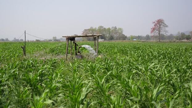 View of a water pump irrigating a green corn field Nepal.