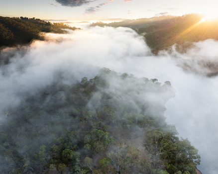 Aerial view of Kangaroo Creek Reservoir shrouded in thick morning mist and fog over forested hills during a golden sunrise Adelaide Hills Council South Australia Australia. Aerial view of Kangaroo Creek Reservoir shrouded in thick morning mist and fog over forested hills during a golden sunrise Adelaide Hills Council South Australia Australia.