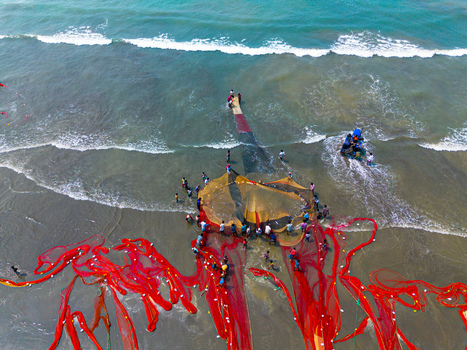Cox s Bazar Bangladesh 10 March 2026 Aerial view of fishermen pull vibrant red nets ashore a striking contrast against the sandy beach and shimmering turquoise sea.