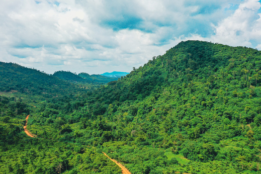 Aerial view of the lush green hills and dense tropical forest landscape with a winding dirt road cutting through the terrain in Tebeso Ashanti Region Ghana.