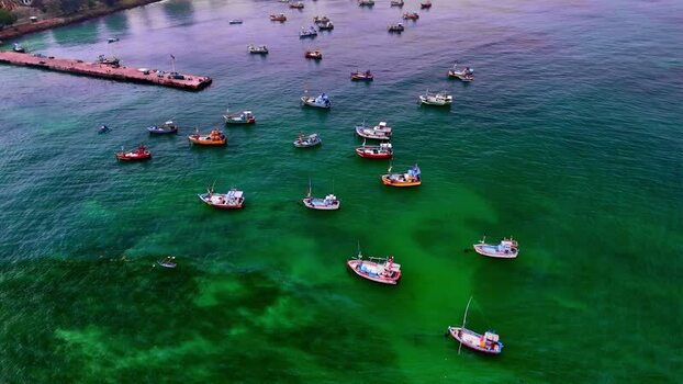Aerial view of fishing boats in a bay Sri Lanka.