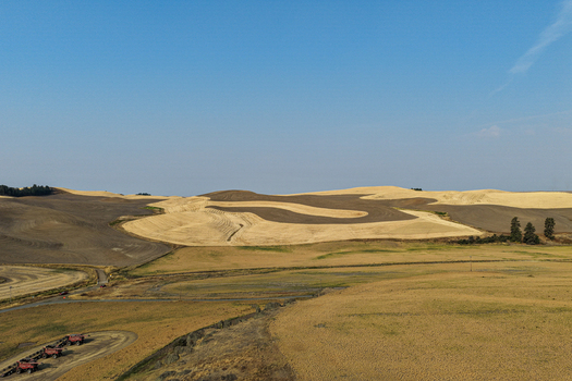 Aerial view of the rolling hills of the Palouse region with golden wheat fields and dark soil patterns under a clear blue sky in Palouse Washington United States. Aerial view of the rolling hills of the Palouse region with golden wheat fields and dark soil patterns under a clear blue sky in Palouse Washington United States.