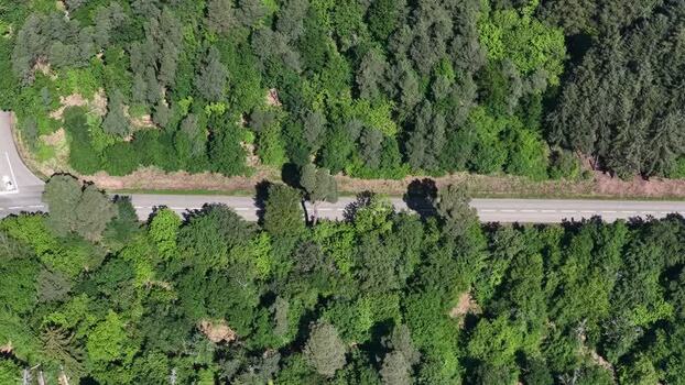 Aerial view of a road through a dense green forest France.
