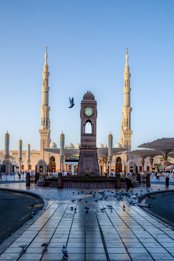 View of the clock tower in the courtyard of Al Masjid e Nabawi with minarets large umbrellas and pigeons on the tiled ground in Madinah Al Madinah Province Saudi Arabia.