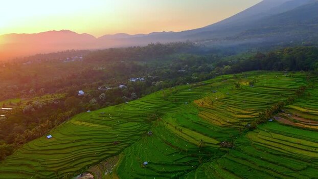 Aerial view of Senaru Rice Fields at sunrise Indonesia. Aerial view of Senaru Rice Fields at sunrise Indonesia.