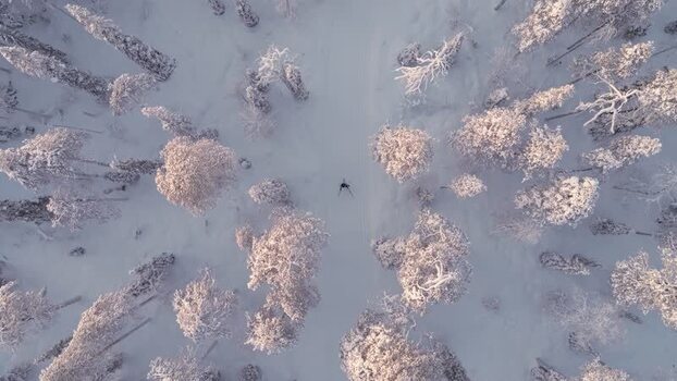 Aerial view of skier in Luosto forest Finland.