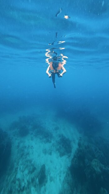 View of a person snorkeling underwater Thailand.