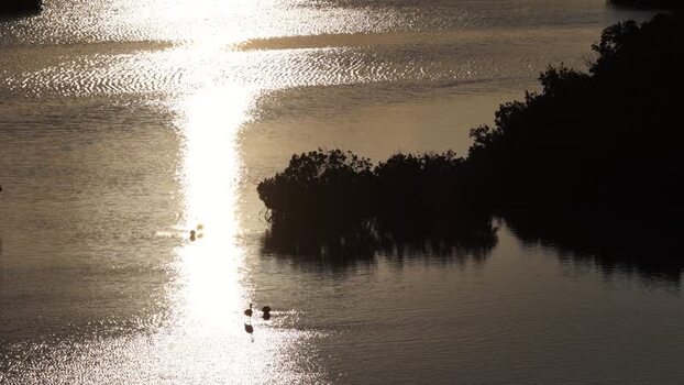 Aerial view of Yucalpeten lagoon at sunset Mexico. Aerial view of Yucalpeten lagoon at sunset Mexico.