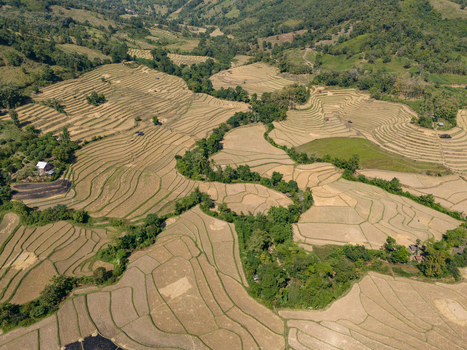 Aerial view of terraced rice fields in the mountainous landscape of Ban Hat Kho Luang Prabang Province Laos.