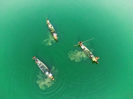 Khansama Upazila Bangladesh 11 June 2026 Aerial view of three traditional wooden boats with fishermen on the vibrant green water of a river.