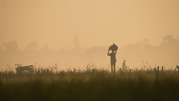 View of a worker carrying a sack in a misty field Bangladesh. View of a worker carrying a sack in a misty field Bangladesh.