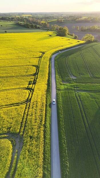 Aerial view of rapeseed fields and a road in Langballig Germany.
