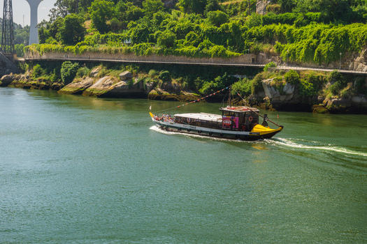 View of a traditional Barcos Rabelos boat glides across the shimmering Douro River under a lush green bank Porto Porto District Portugal. View of a traditional Barcos Rabelos boat glides across the shimmering Douro River under a lush green bank Porto Porto District Portugal.
