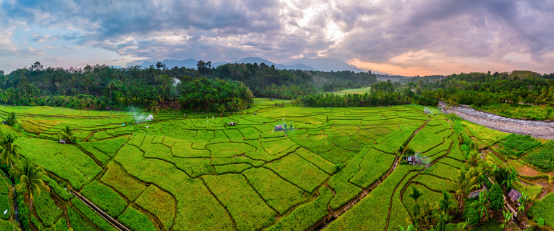 Aerial view of Taba Tembilang rice paddies with lush green terraces a winding river and distant mountains under a dramatic cloudy sky in Arga Makmur Bengkulu Indonesia. Aerial view of Taba Tembilang rice paddies with lush green terraces a winding river and distant mountains under a dramatic cloudy sky in Arga Makmur Bengkulu Indonesia.