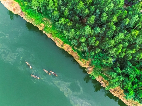 Khansama Upazila Bangladesh 11 June 2026 Aerial view of traditional wooden boats on a green river flowing past a dense forest.