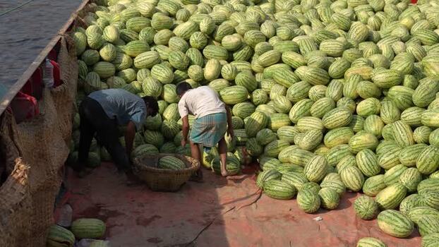 View of men loading watermelons at Sadarghat Bangladesh.