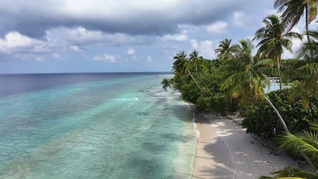 Aerial view of a tropical beach with palm trees and turquoise water Maldives. Aerial view of a tropical beach with palm trees and turquoise water Maldives.