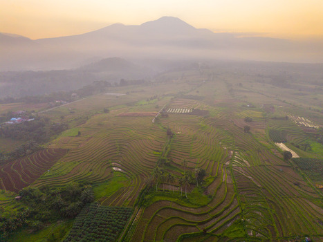 Aerial view of Kemumu rice terraces at sunrise with mist lush green fields and distant mountains in Arma Jaya Bengkulu Indonesia. Aerial view of Kemumu rice terraces at sunrise with mist lush green fields and distant mountains in Arma Jaya Bengkulu Indonesia.