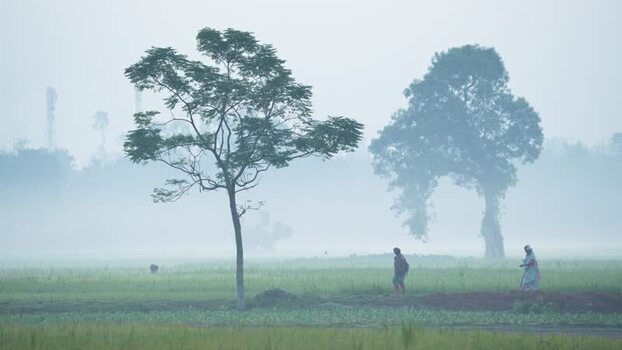 View of people walking in a misty field Bangladesh.