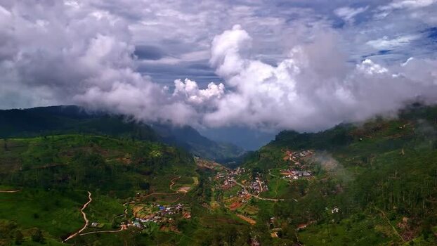 Aerial view of lush green tea plantations in Sri Lanka.