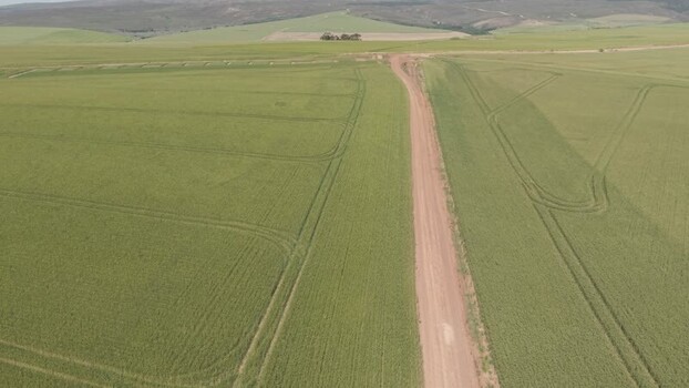 Aerial view of a dirt road through green fields South Africa. Aerial view of a dirt road through green fields South Africa.