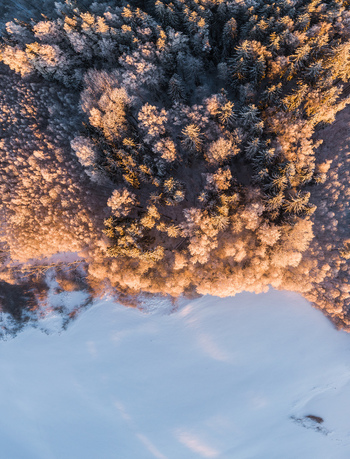Aerial view of a dense forest covered in snow and frost illuminated by the warm golden light of the setting sun with a frozen lake in the foreground in Latvia. Aerial view of a dense forest covered in snow and frost illuminated by the warm golden light of the setting sun with a frozen lake in the foreground in Latvia.