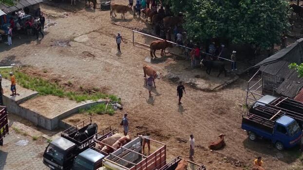 Aerial view of Animal Market Prambanan with livestock Indonesia. Aerial view of Animal Market Prambanan with livestock Indonesia.